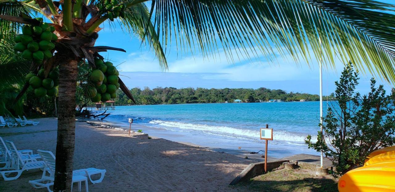 Playa Tortuga Hotel And Beach Resort Бокас-дель-Торо Экстерьер фото